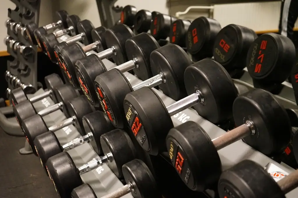 A long rack of black dumbbells in a row